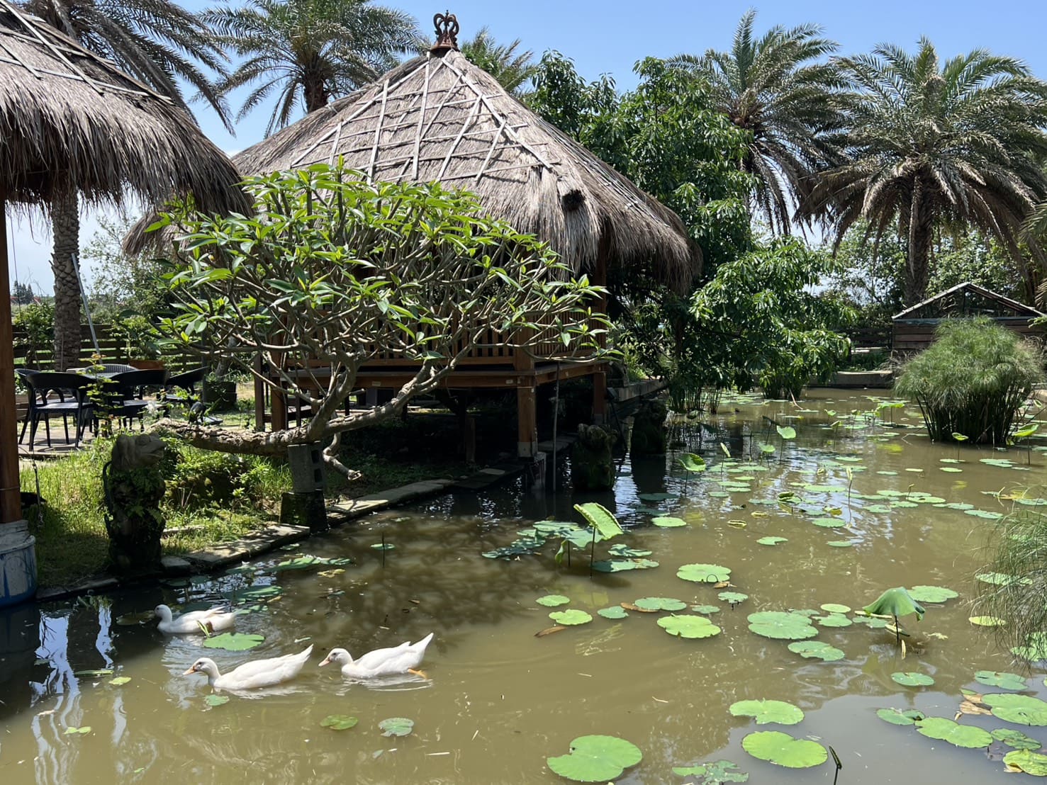 莫內創意花園