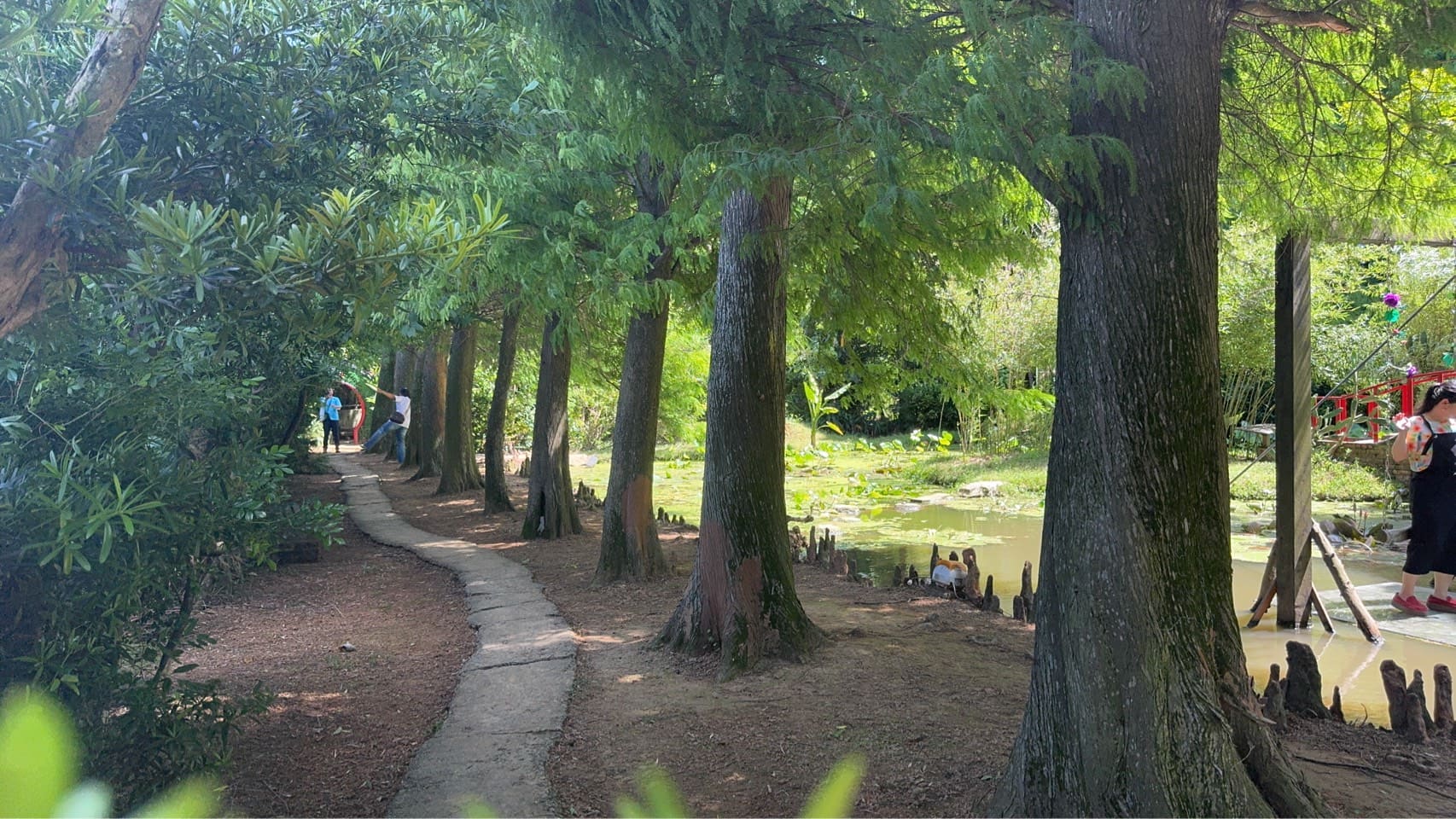 蓮荷園休閒農場