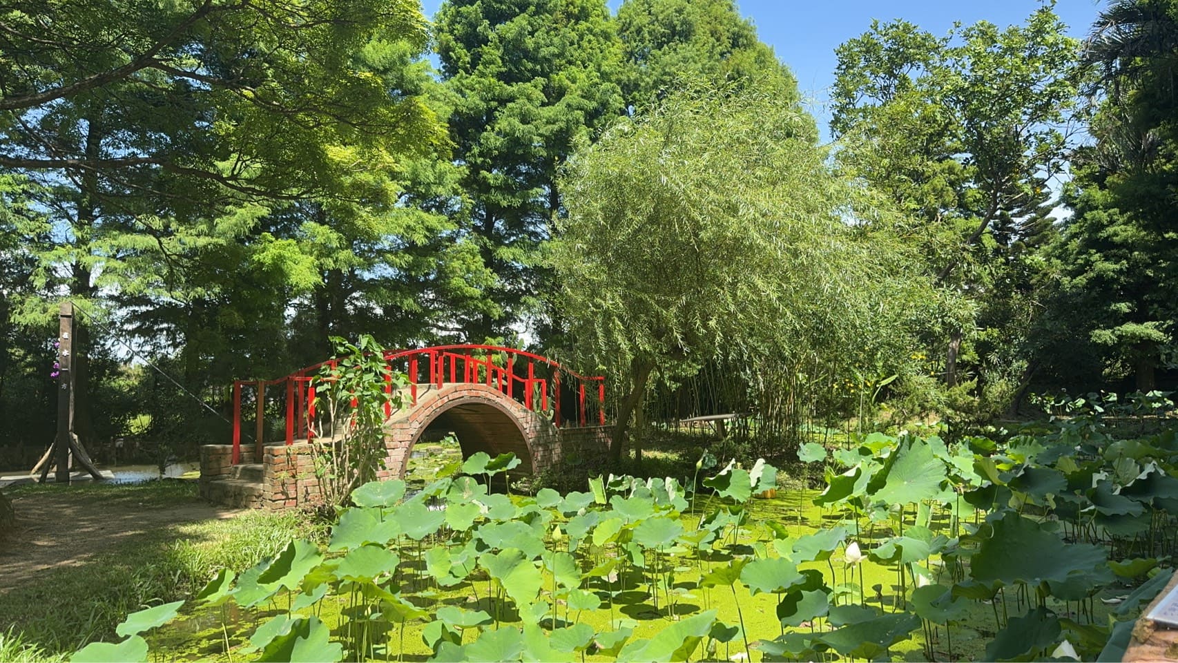 蓮荷園休閒農場