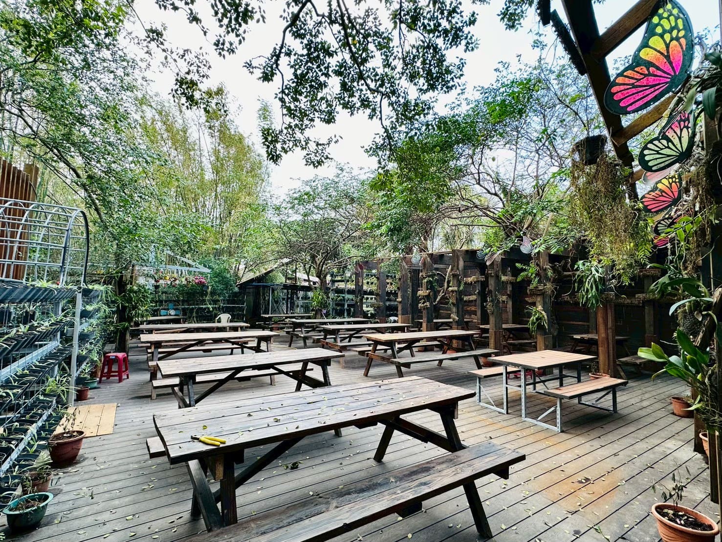 一級棒農場_蘭花園空間優化