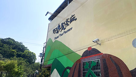 羽泰製茶廠