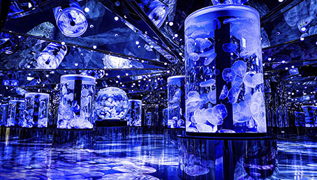 Xpark水族館