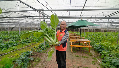 陽榮休閒農場
